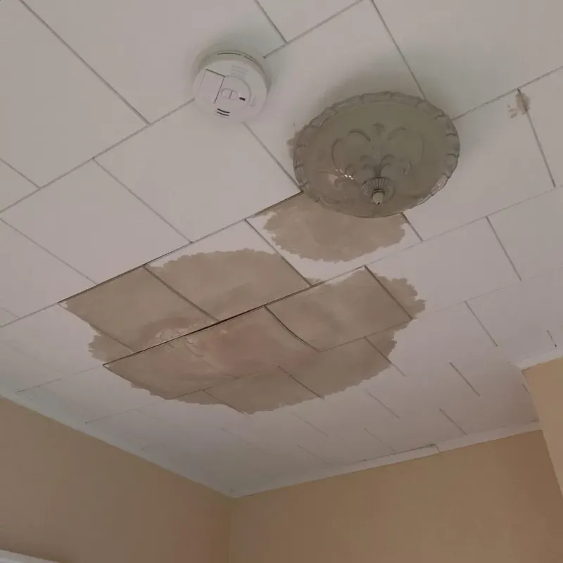 Ceiling Water Damage Repair in Charleston, NY
