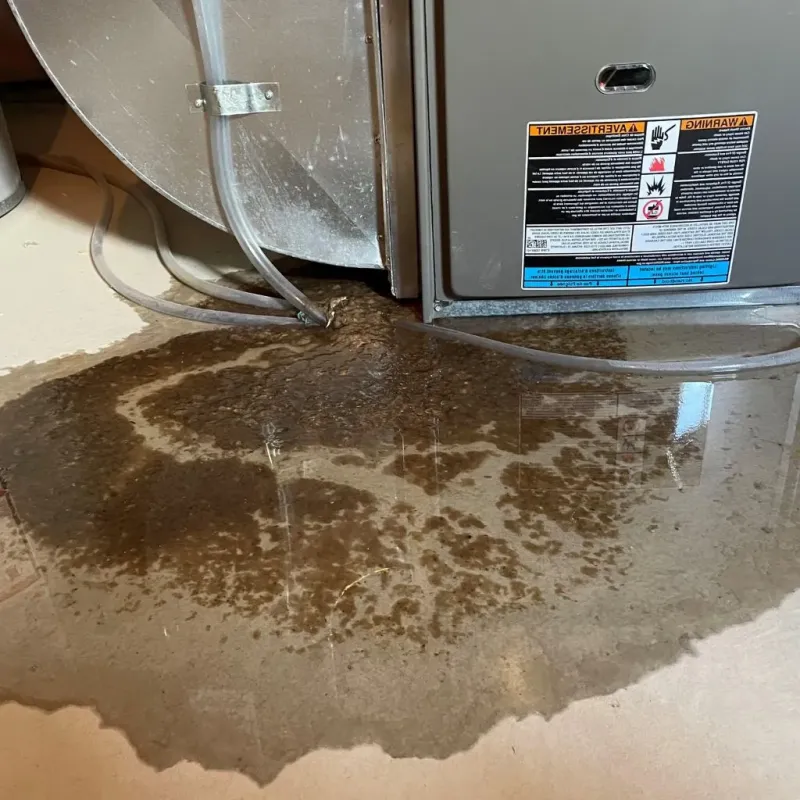 Pipe Burst and Leak Restoration in Charleston, NY